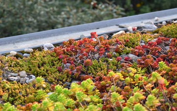 the cost of Dunwear green roof installation