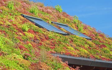 Dunwear living roof systems